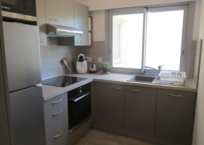 2 Pieces Climatise Avec Garage A - Fr-1-780-66 Apartament