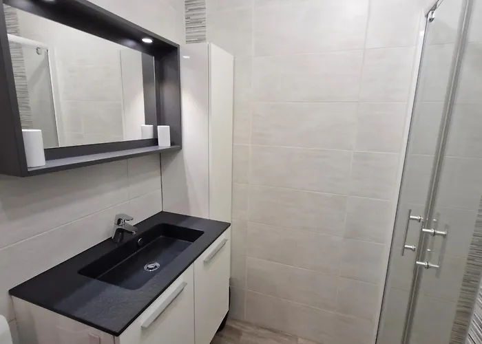 2 Pieces Climatise Avec Garage A - Fr-1-780-66 Apartament